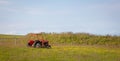 Vintage red abandoned tractor Royalty Free Stock Photo