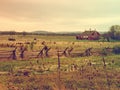 Vintage Red Barn in Pastoral Setting
