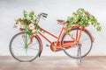 Vintage red bicycle with flower baskets parking against cement w Royalty Free Stock Photo