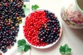 red and black currants. The concept of Yin and Yan Royalty Free Stock Photo