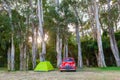 Vintage red car and small green tent under trees.