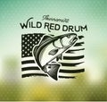 Vintage red drum fish emblems. Sciaenops ocellatus Labels. Vector illustration.