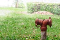 Vintage red fire Hydrant in park Royalty Free Stock Photo