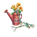 Vintage red garden watering can with a bouquet of yellow flowers and garden tools. Royalty Free Stock Photo