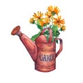 Vintage red garden watering can with a bouquet of yellow flowers. Royalty Free Stock Photo