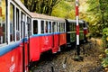 vintage red and green miniature nostalgy train passing through forest trail. retro style locomotive and carriages Royalty Free Stock Photo