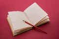 Vintage red pen on open antique book with blank pages Royalty Free Stock Photo