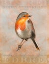 Vintage Red Robin Redbreast