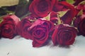 Vintage red roses gift