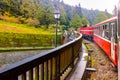 Vintage Red Train passing by green forest of Alishan National Forest Area in Chiayi,Taiwan Royalty Free Stock Photo