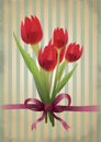 Vintage red tulips