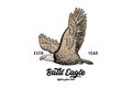 Vintage Retro American Flying Bald Eagle Hawk Falcon Bird Logo Design Vector Royalty Free Stock Photo