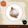 Vintage retro background with hand drawn sketch onion.