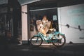 Blue Vintage Bike With Marilyn Monroe Statue