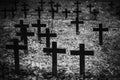 Vintage, Retro Black And White Photo Of Old Graves And Crosses In A Cemetery. Grainy, Noisy, Artistic Monochrome Image. Halloween