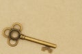 Vintage retro bronze skeleton key