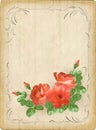 Vintage retro flowers roses postcard border frame Royalty Free Stock Photo