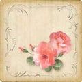 Vintage retro flowers roses postcard border frame Royalty Free Stock Photo