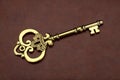 Vintage / Retro Golden Key on brown leather background Royalty Free Stock Photo