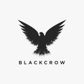 Vintage retro hipster flying crow logo icon design Royalty Free Stock Photo