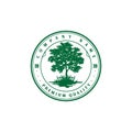 Vintage Retro Oak Banyan Maple Family Tree Life Logo Design Vector Royalty Free Stock Photo