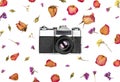 Vintage retro photo camera and dried flowers isolated on white background. Flat lay Royalty Free Stock Photo