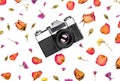 Vintage retro photo camera and dried flowers isolated on white background. Royalty Free Stock Photo
