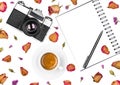 Vintage retro photo camera, notepad, pen, coffee cup and dried flowers isolated on white background. Flat lay Royalty Free Stock Photo