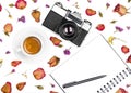 Vintage retro photo camera, notepad, pen, coffee cup and dried flowers isolated on white background. Royalty Free Stock Photo