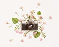 Vintage retro photo camera, pink roses and Brunnera leaves Royalty Free Stock Photo