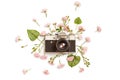 Vintage retro photo camera, pink roses the fairy and Brunnera gr Royalty Free Stock Photo