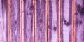 Vintage retro pink violet ancient wood background in old weathered wooden purple plank wall Royalty Free Stock Photo