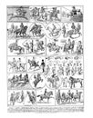 Sport Horse riding and cowboy and western / Antique engraved illustration from from La Rousse XX Sciele