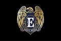 Vintage Retro Strong Golden Eagle Hawk Falcon Badge Emblem Logo Design Vector