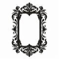 Vintage Rococo-inspired Black And White Image Frame With Swag