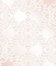 Vintage Rococo pattern background Vector illustrations pink color