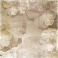 Vintage romantic background Royalty Free Stock Photo