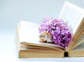 Vintage romantic background with old book, lilac flower, and little seashell