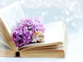 Vintage romantic background with old book, lilac flower, and little seashell