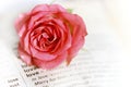 Vintage romantic page with pink rose