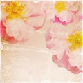 Vintage romantic paper background