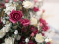 Vintage Rose Royalty Free Stock Photo