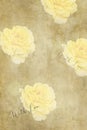 Vintage rose floral paper