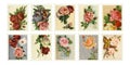 Vintage Rose Stamps Royalty Free Stock Photo