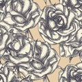 Vintage roses background Royalty Free Stock Photo