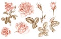 Vintage roses clipart set