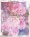 Vintage roses for decoupage