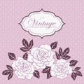 Vintage roses floral romantic hand drawn vector background Royalty Free Stock Photo