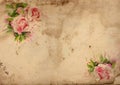 Vintage roses shabby chic background Royalty Free Stock Photo
