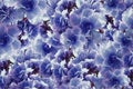 Vintage roses violet-blue flowers. flowers background. floral collage. Flower composition.